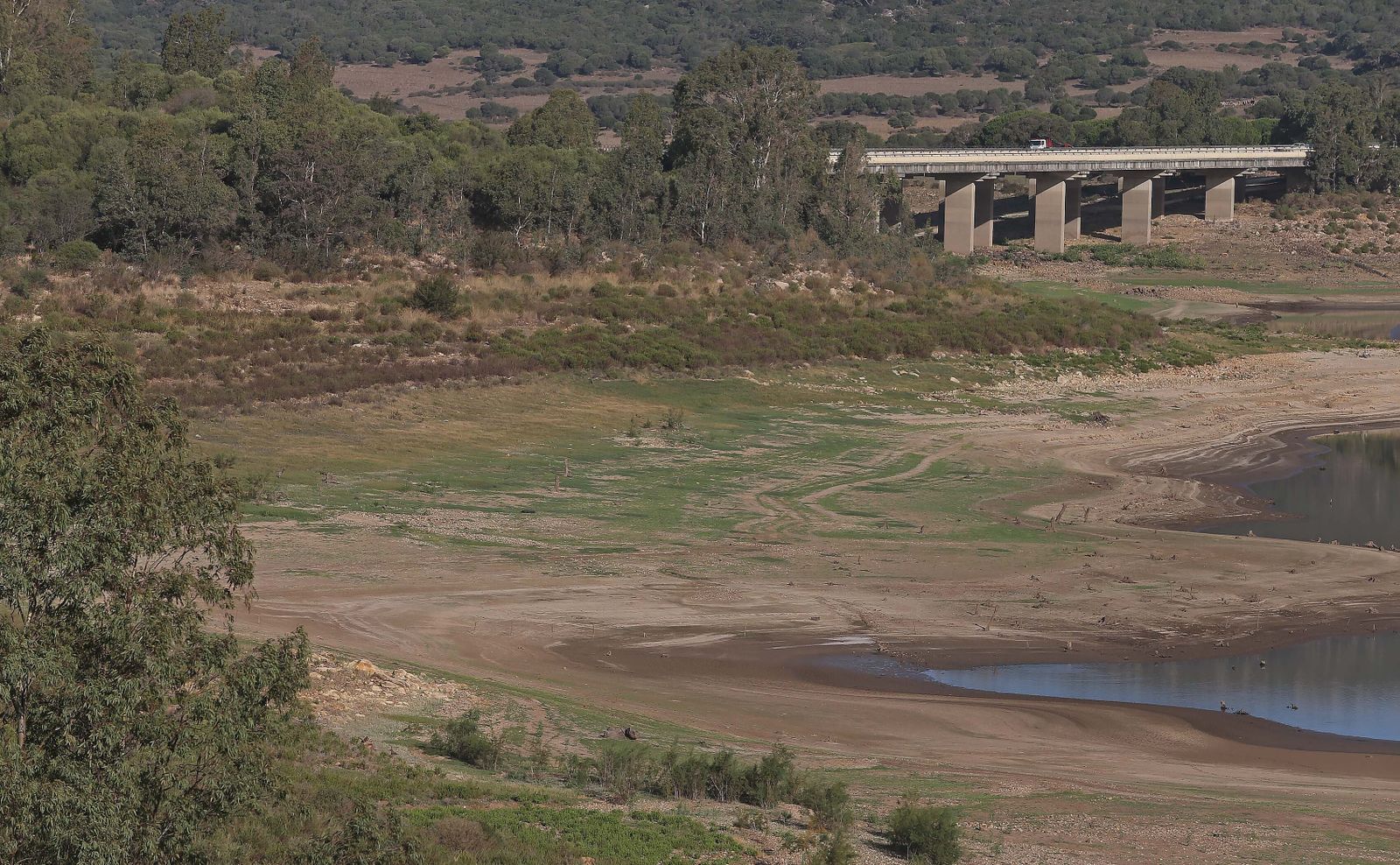Imágenes del pantano de Charco Redondo en Los Barrios