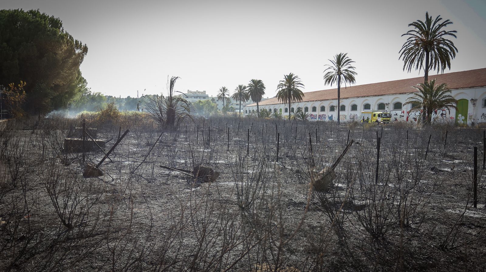 Incendio de pastos en la antigua bodega de Croft