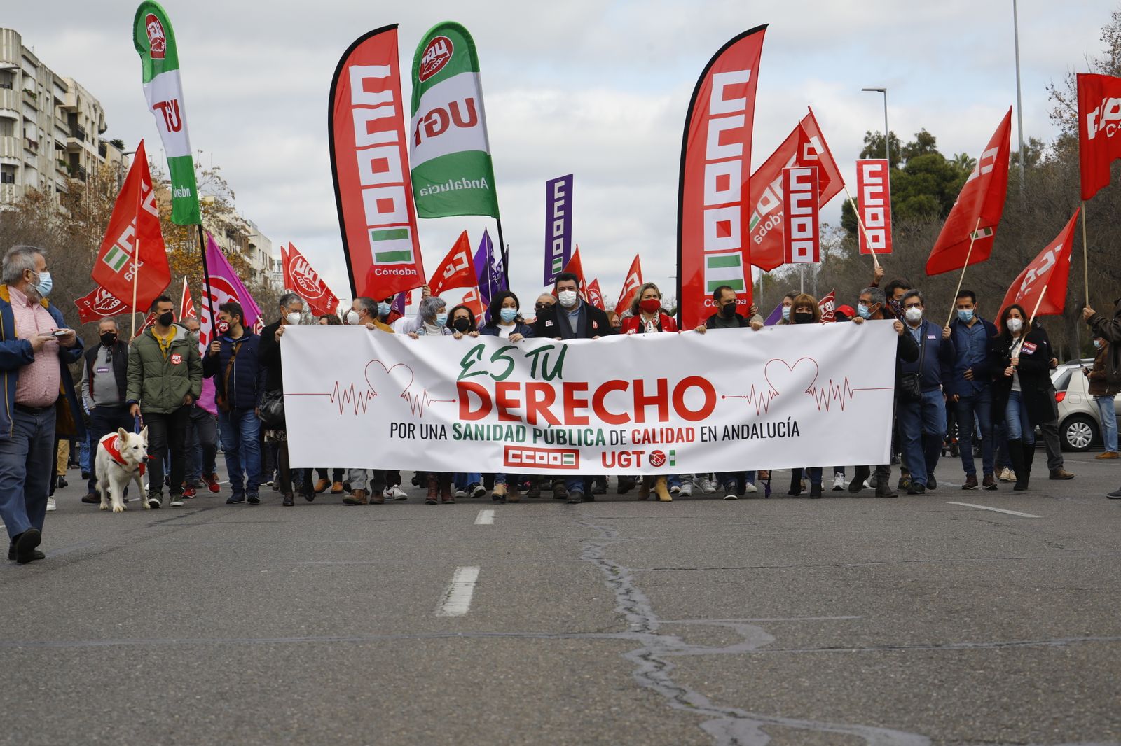 Manifestación en defensa de la sanidad pública en Córdoba, en imágenes