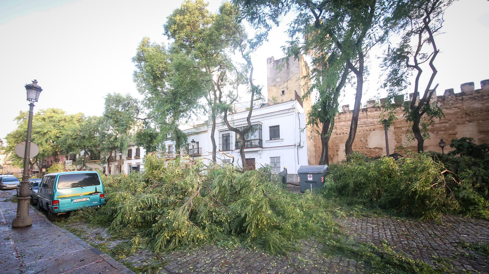 Caos en Jerez por los destrozos del temporal de viento