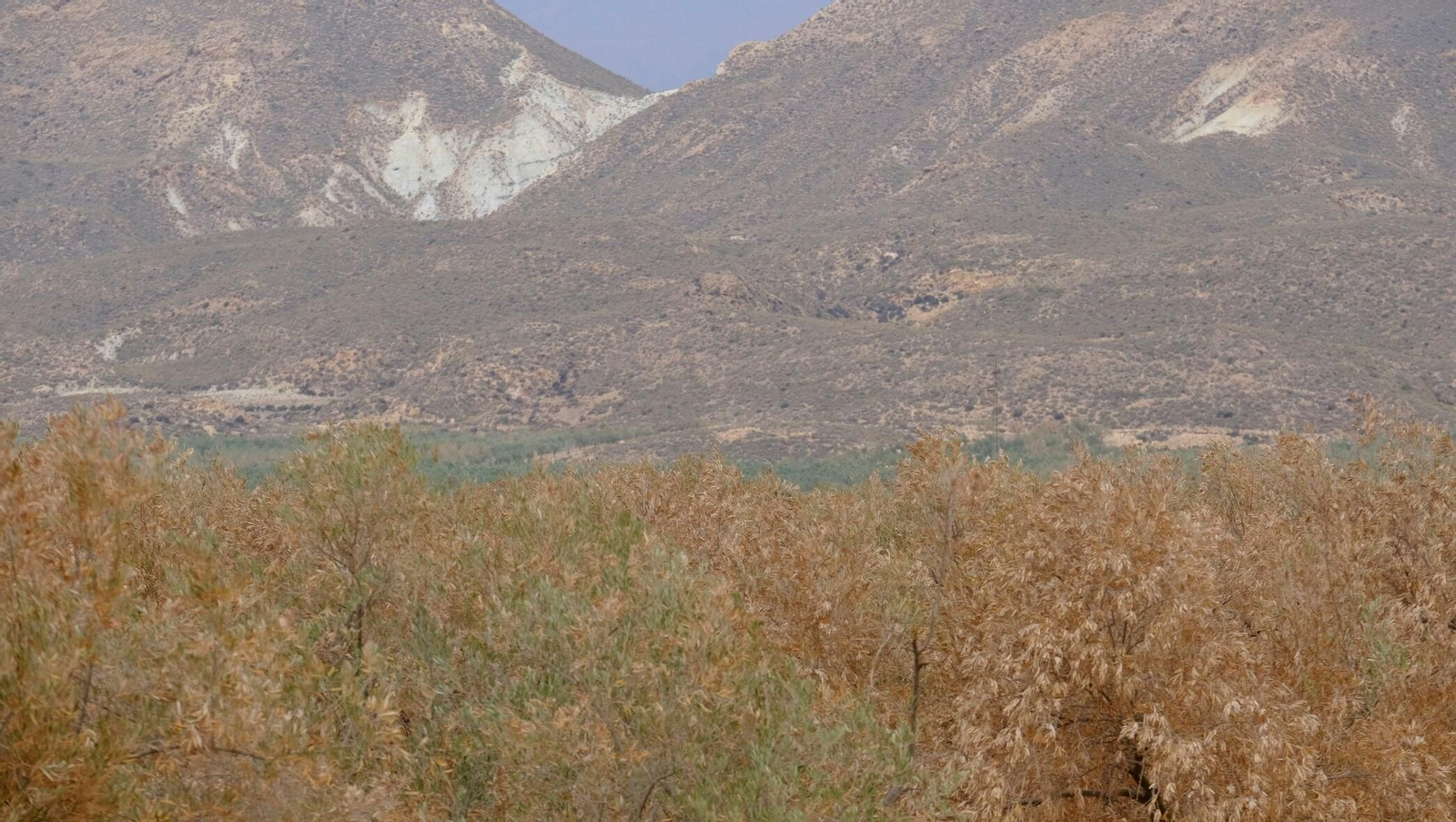 FINANZAS-ECONOMÍA-AGRI (8410028).jpg