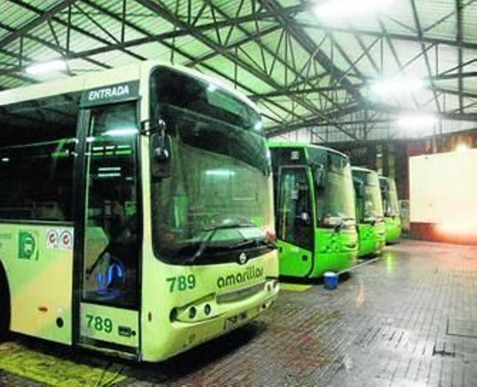 Autobuses de Los Amarillos, en la estación de La Línea.