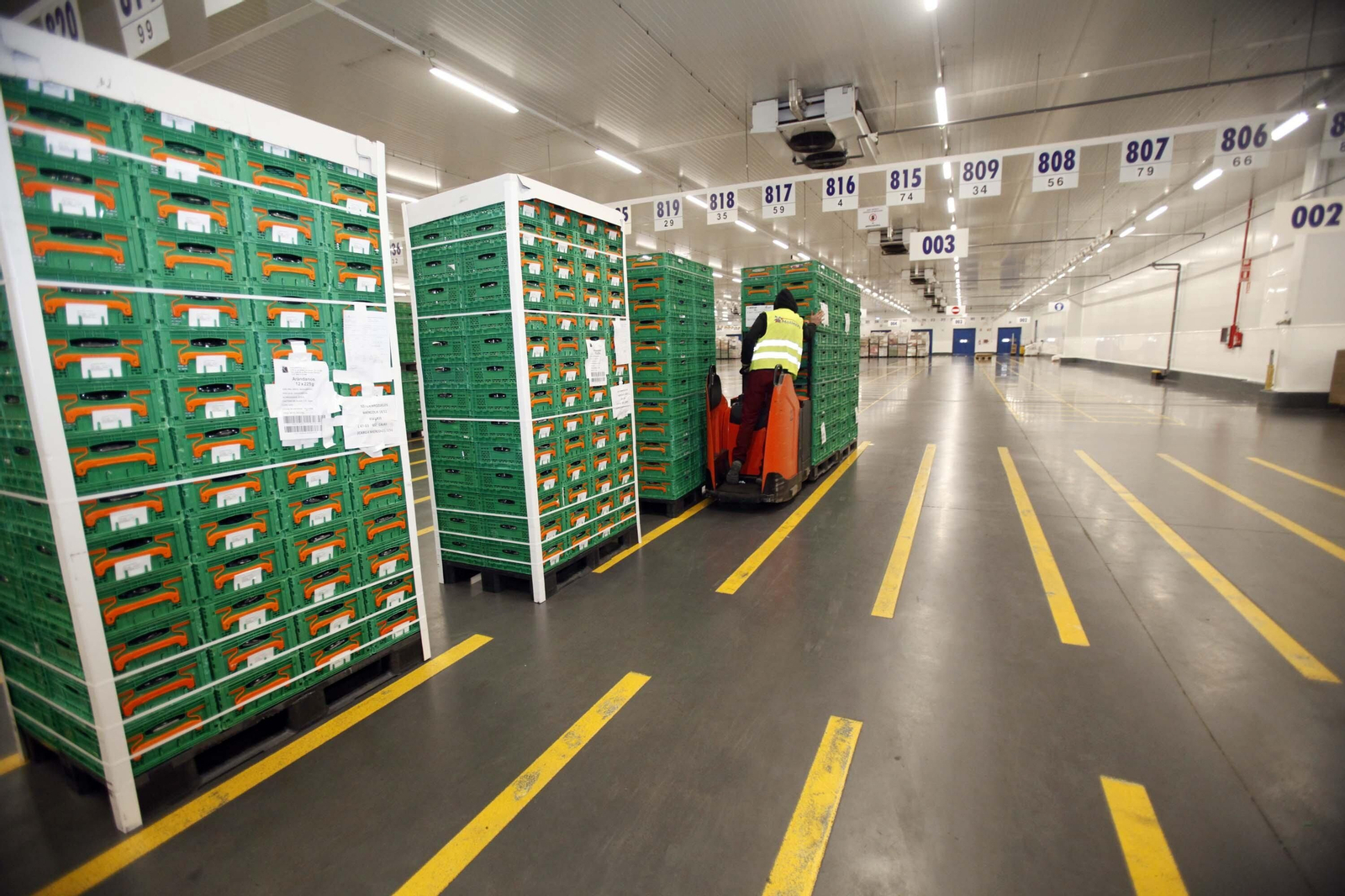Imágenes del trabajo en la central logística de Mercadona