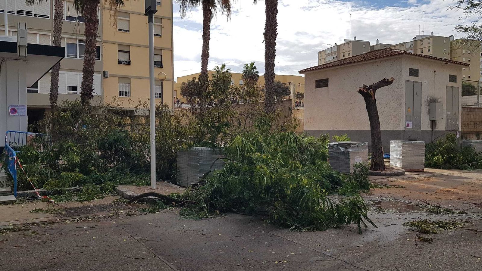 Ramas caídas en la avenida Cornelio Balbo entre material de obra.