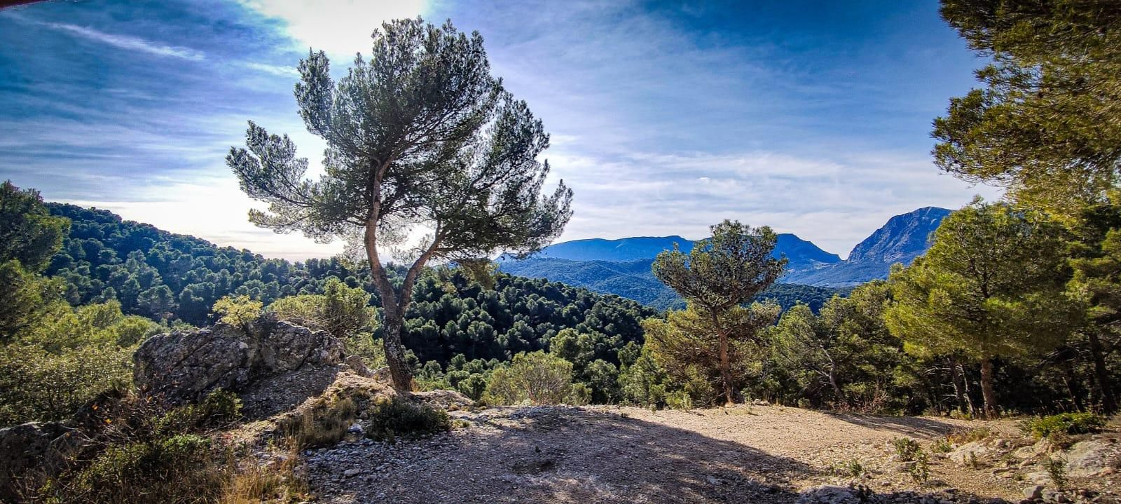 Durante el ascenso se pueden vislumbrar las cumbres circundantes al Monte La Sierra.