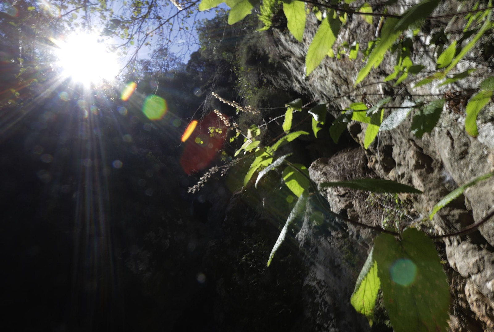 Ruta de Senderismo Charco Malo
