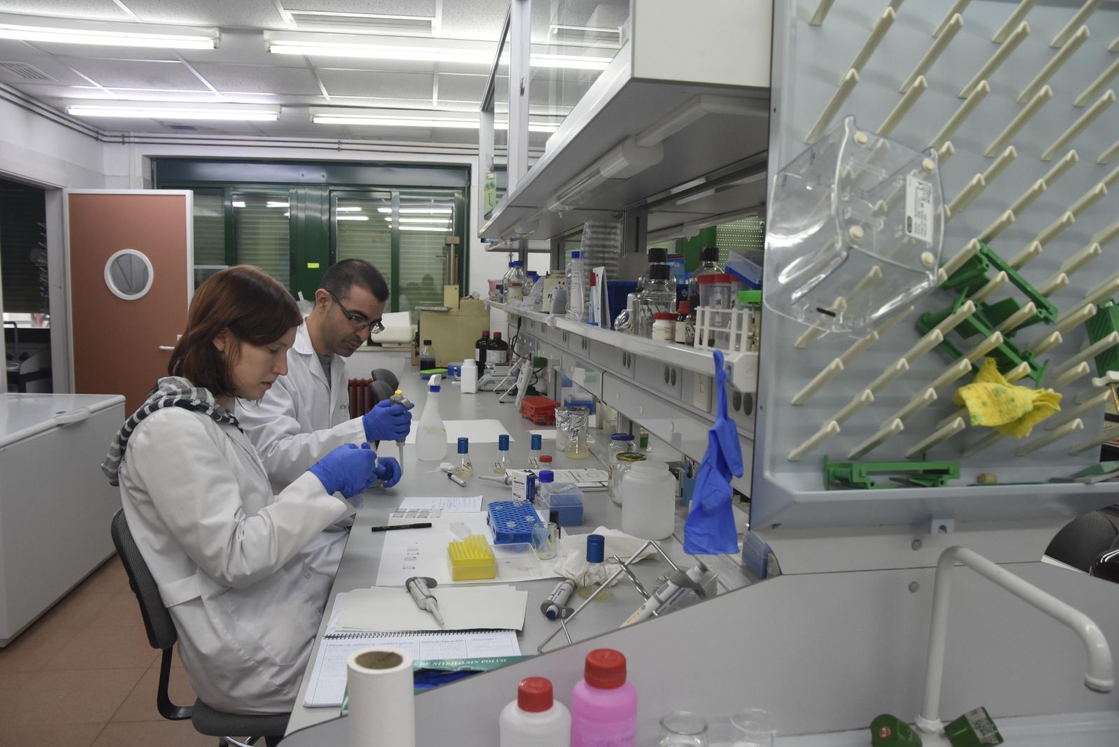 Investigadores de la UCO en un laboratorio de Rabanales.