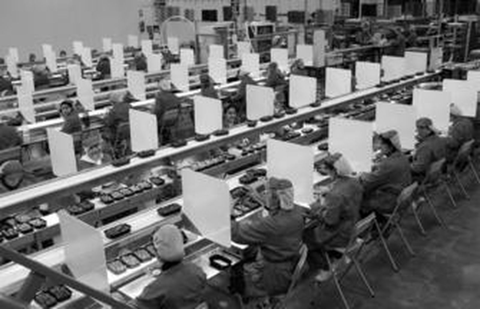 En la etapa de la recolección de la fresa el sector emplea a cerca de 80.000 trabajadores.