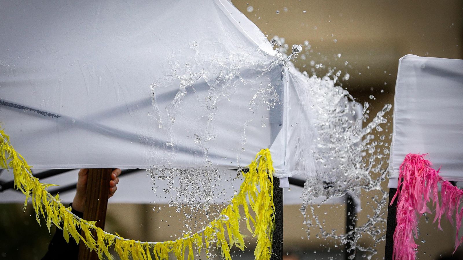 Las mejores imágenes del primer domingo de Carnaval de Cádiz