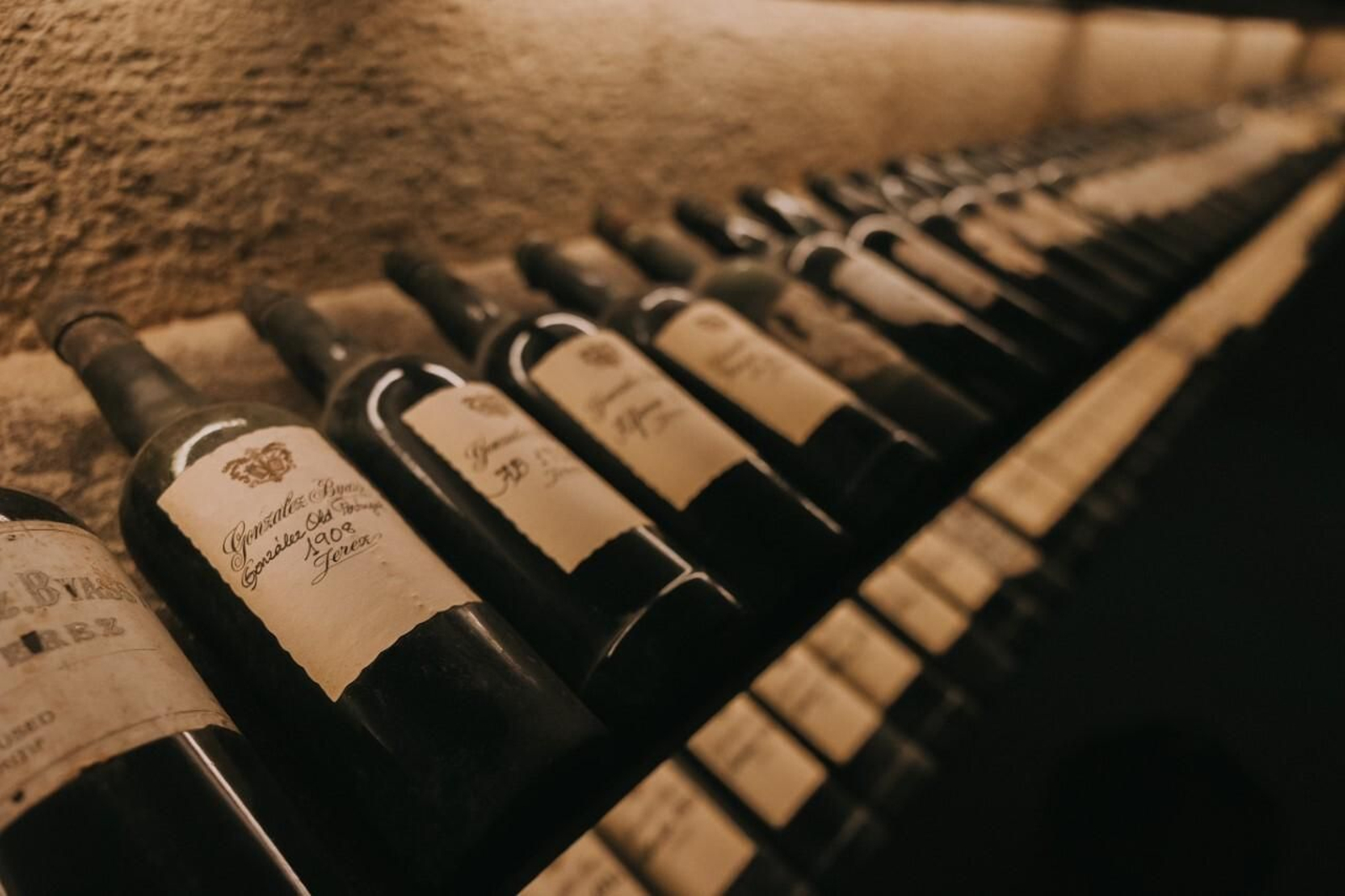 Añadas en el botellero de González Byass.