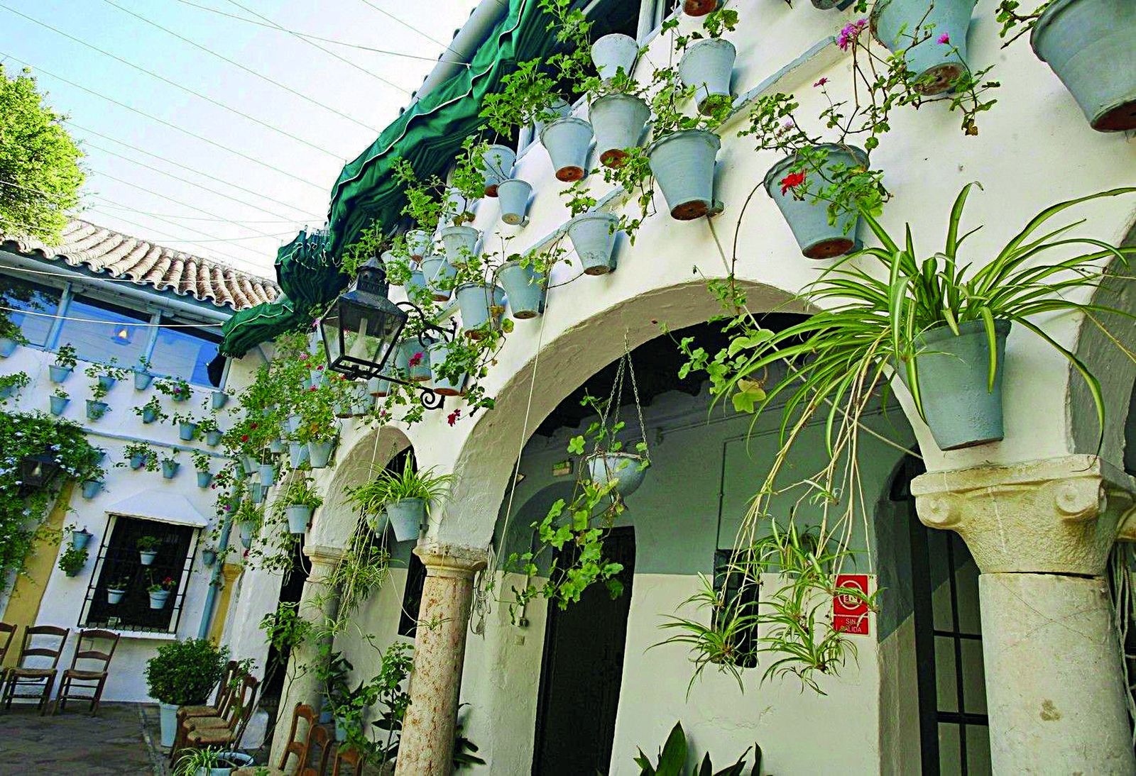 Ruta Santiago-San Pedro: Badanas, 13