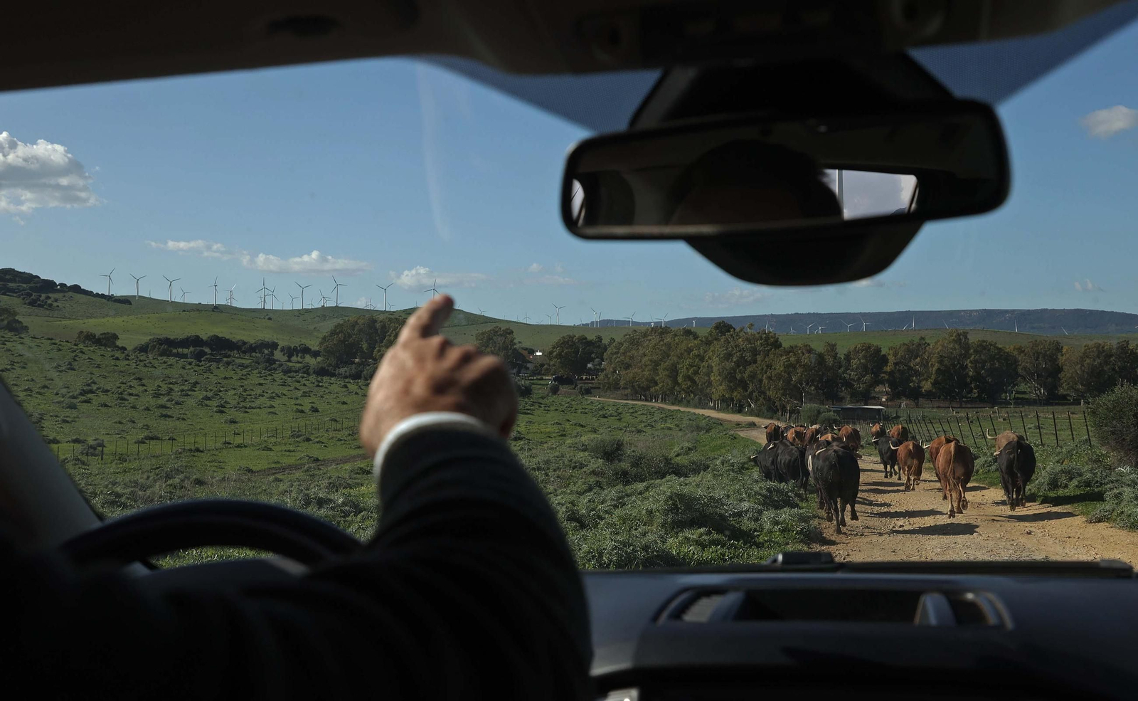 Álvaro Núñez Benjumea debuta este 2025 en Pamplona como gran sorpresa ganadera de los sanfermines, en imágenes