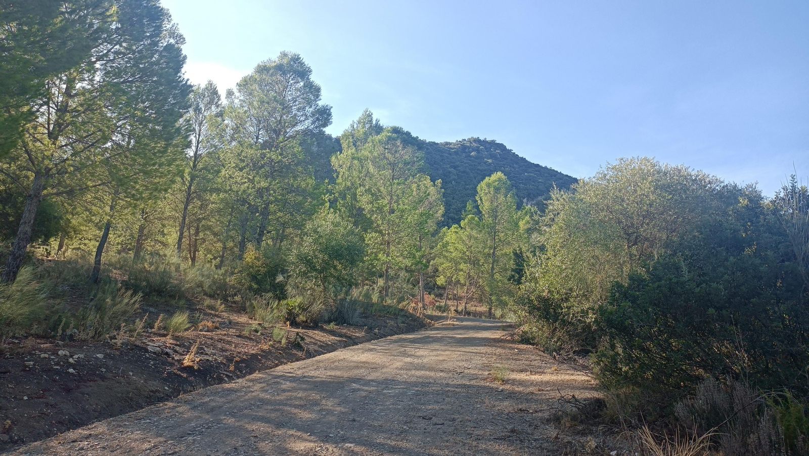 La pendiente es pronunciada, pero no se hace pesada.