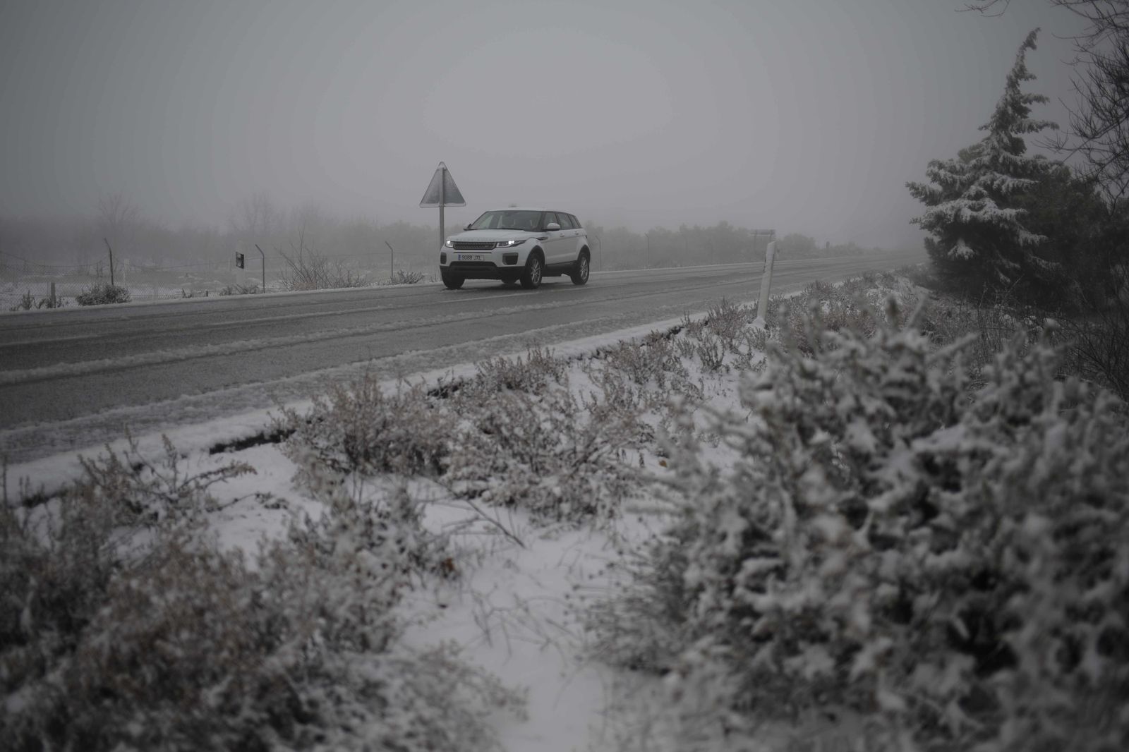 La nevada en el interior de Málaga, en imágenes