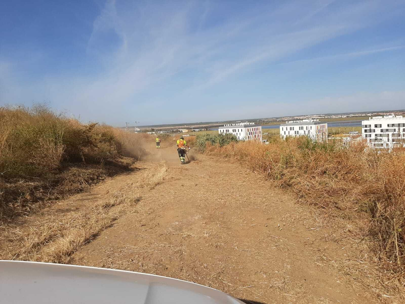 Labores de desbroce y saneamiento en las Laderas del Conquero.