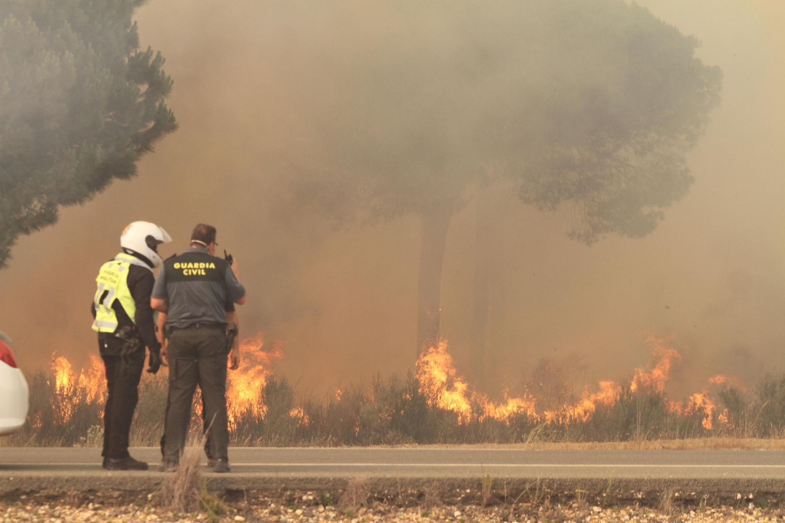 Las imágenes del incendio en Moguer y Mazagón