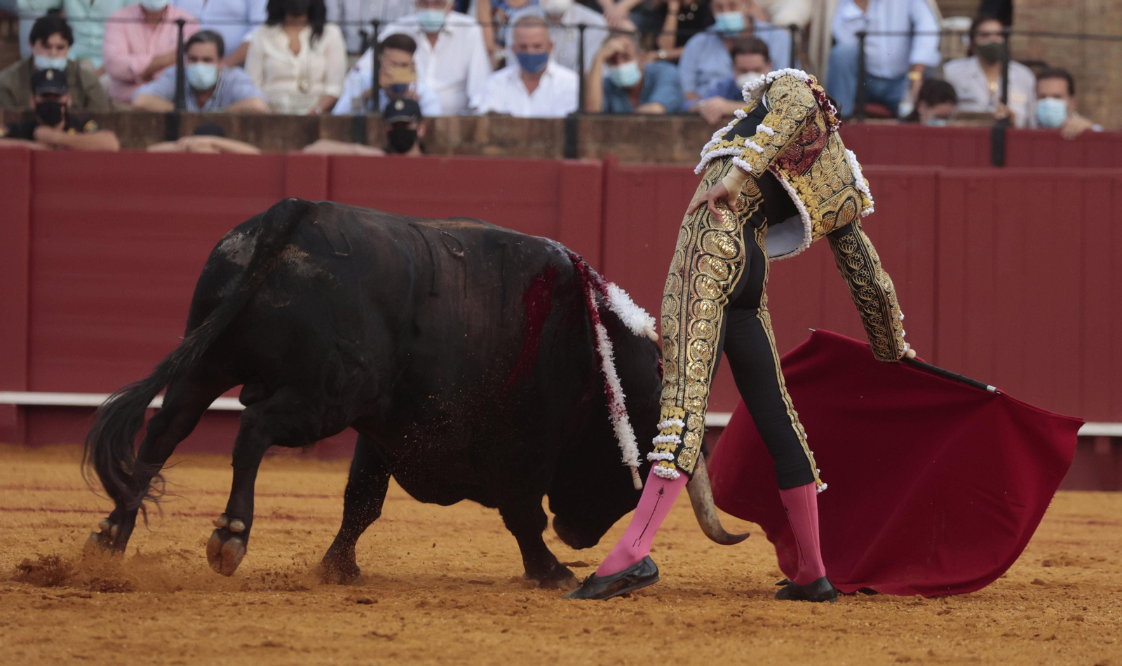 Las imágenes del triunfo de Morante en San Miguel