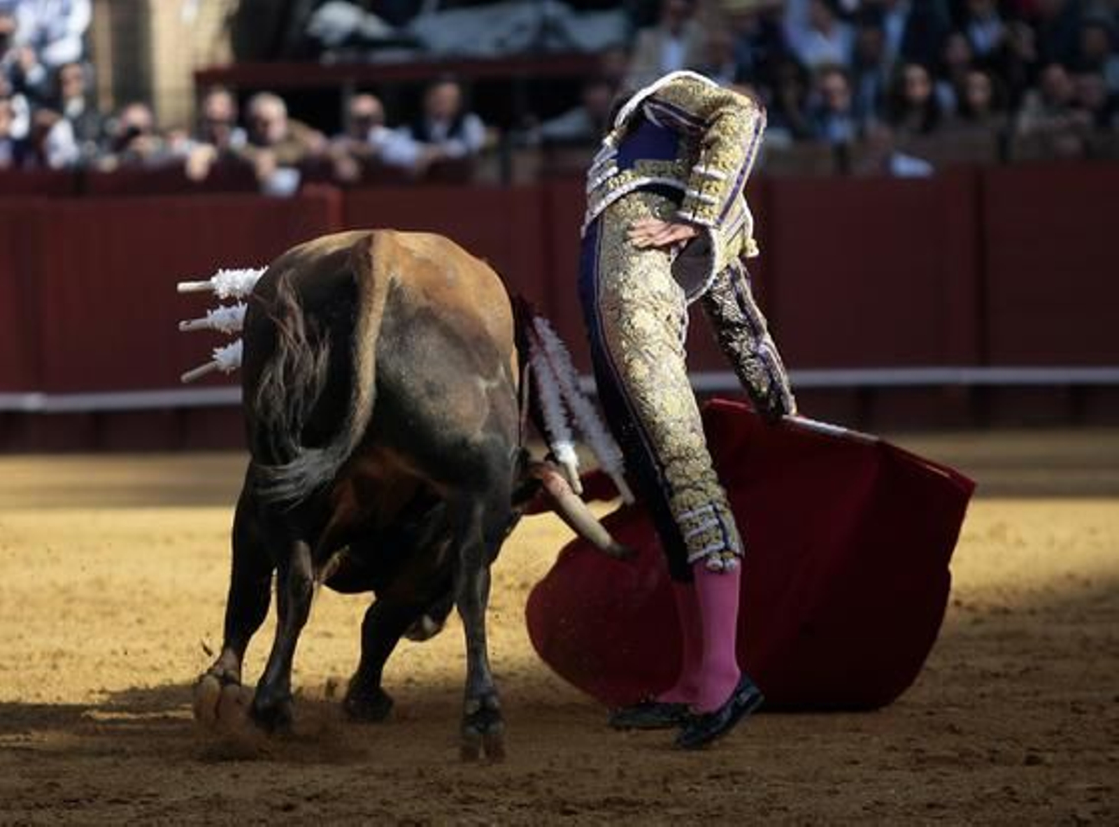 Foto: Juan Carlos Muñoz