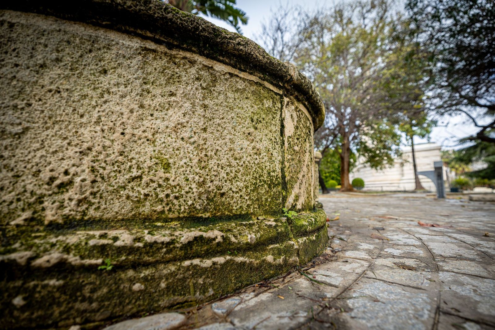 Las imágenes del mal estado de la Plaza de España en Cádiz