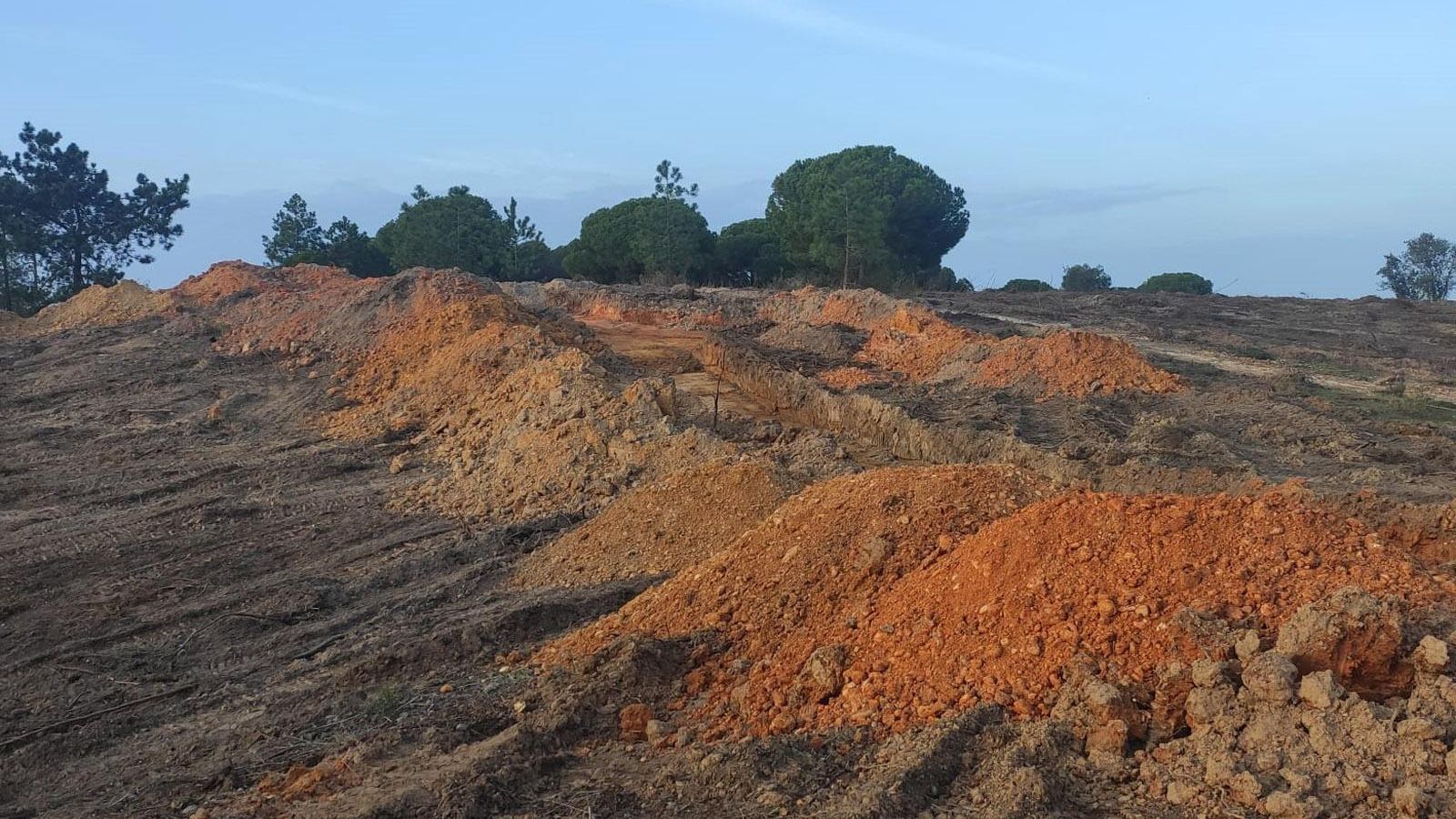 Novimiento de tierras en la zona Novimiento de tierras en la zona