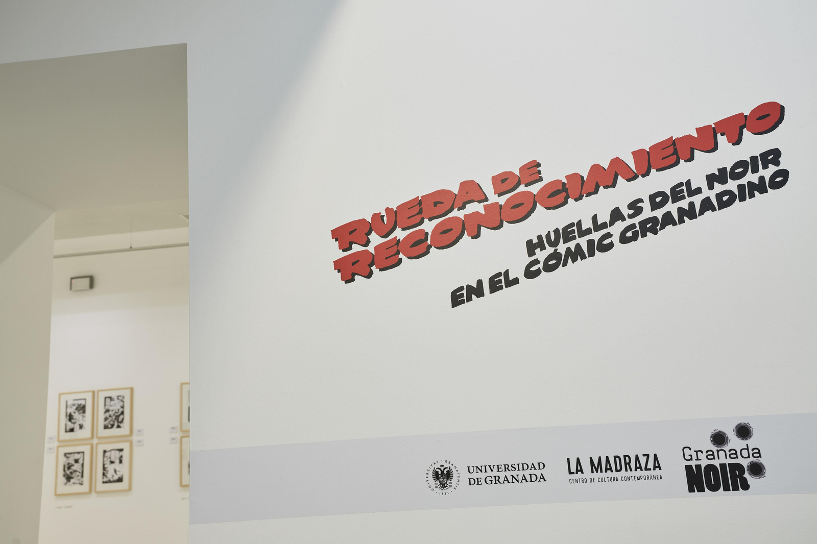 La muestra se exhibe en La Madraza.