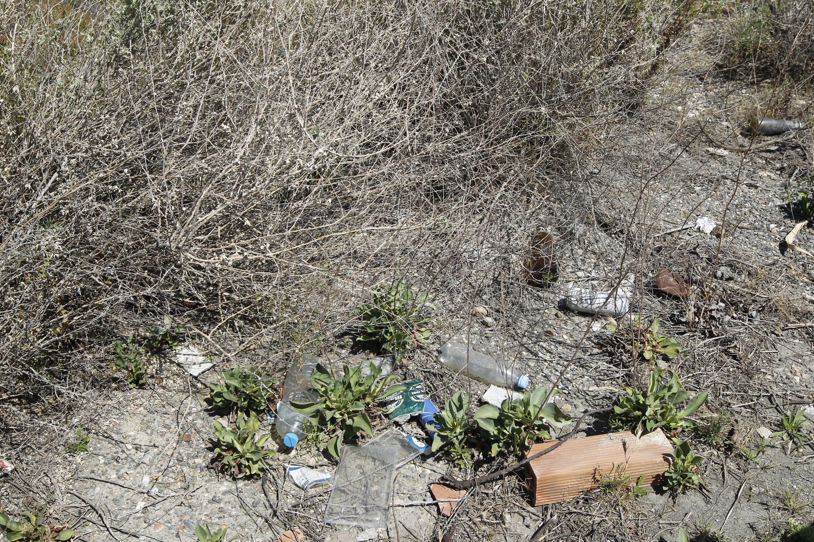 Fotogalería basura en el Desierto de Tabernas