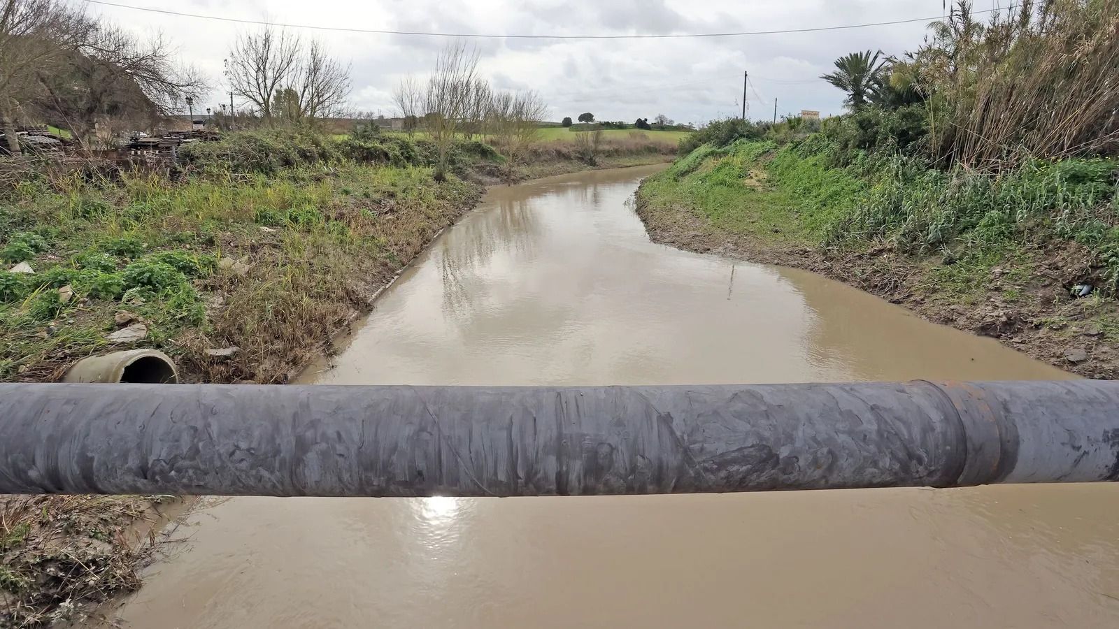 Arroyo Salado, a su paso por Estella.