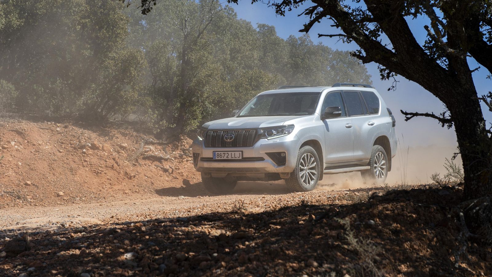 Toyota adaptará la inyección de los Diesel de sus coches para que los motores sean compatibles con biodiésel al ciento por ciento.