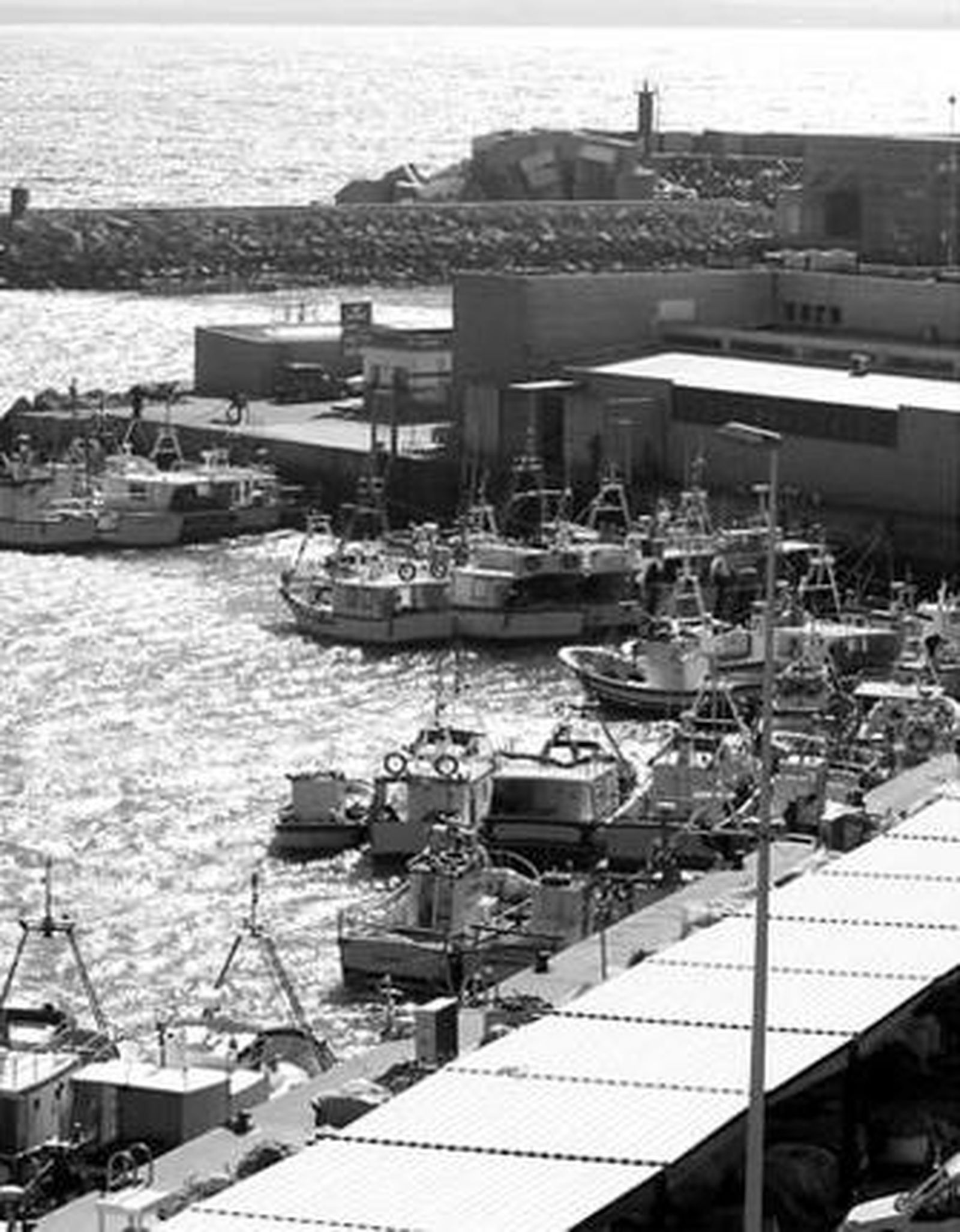 Un grupo de barcos de la flota de Conil amarrados a puerto.