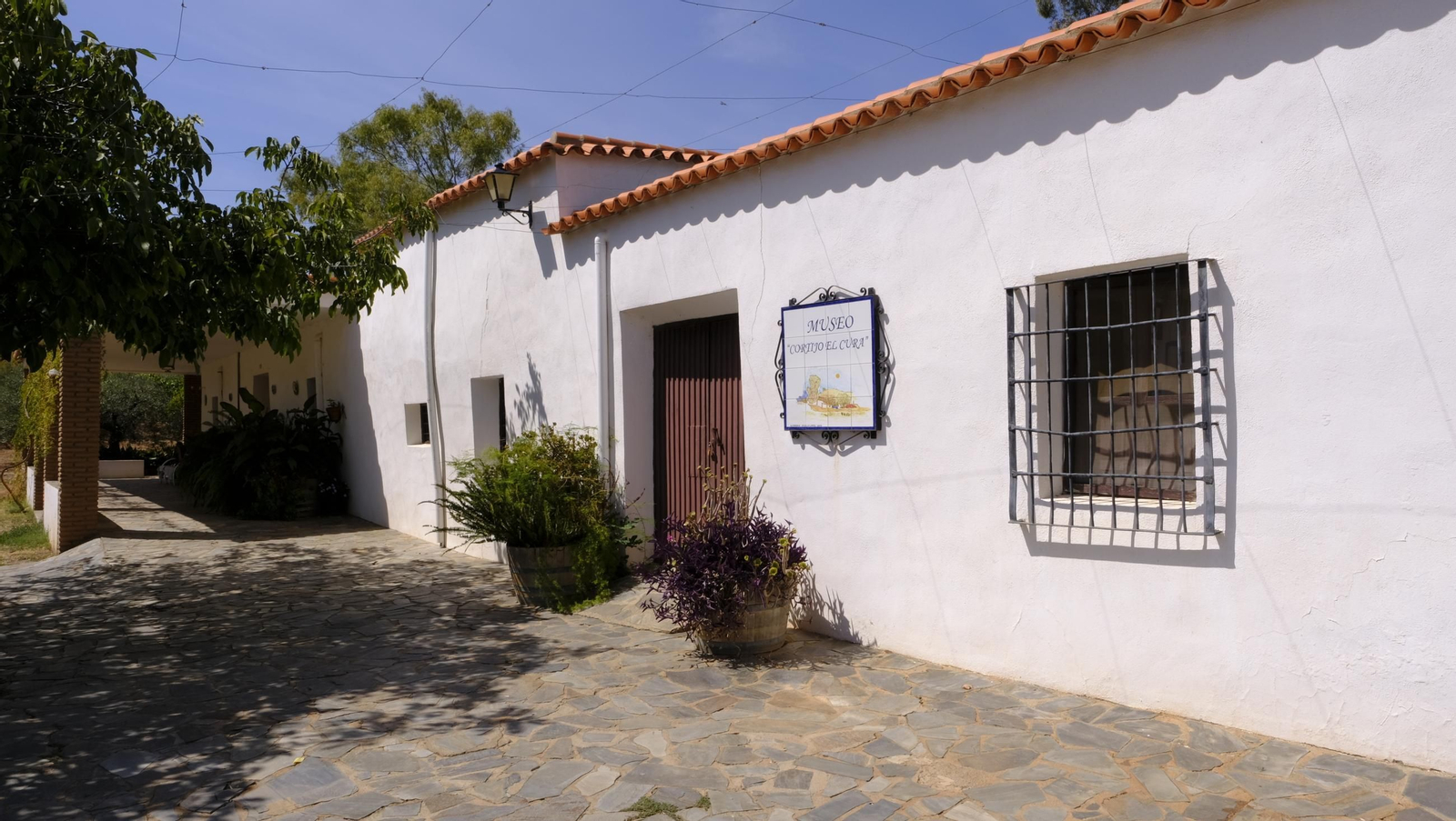 La vendimia en la Bodega Cortijo del Cura de Laujar, en imágenes