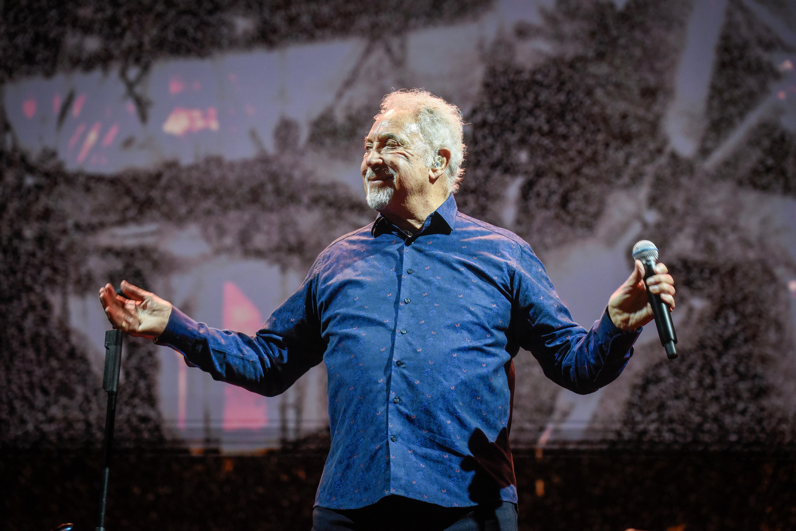 Concierto de Tom Jones