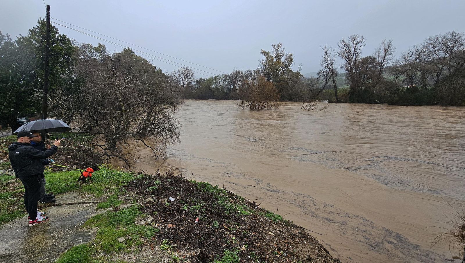 Fotos del temporal de lluvia y viento por la borrasca Kristin en Jimena de la Frontera, San Pablo de Buceite y San Martín del Tesorillo