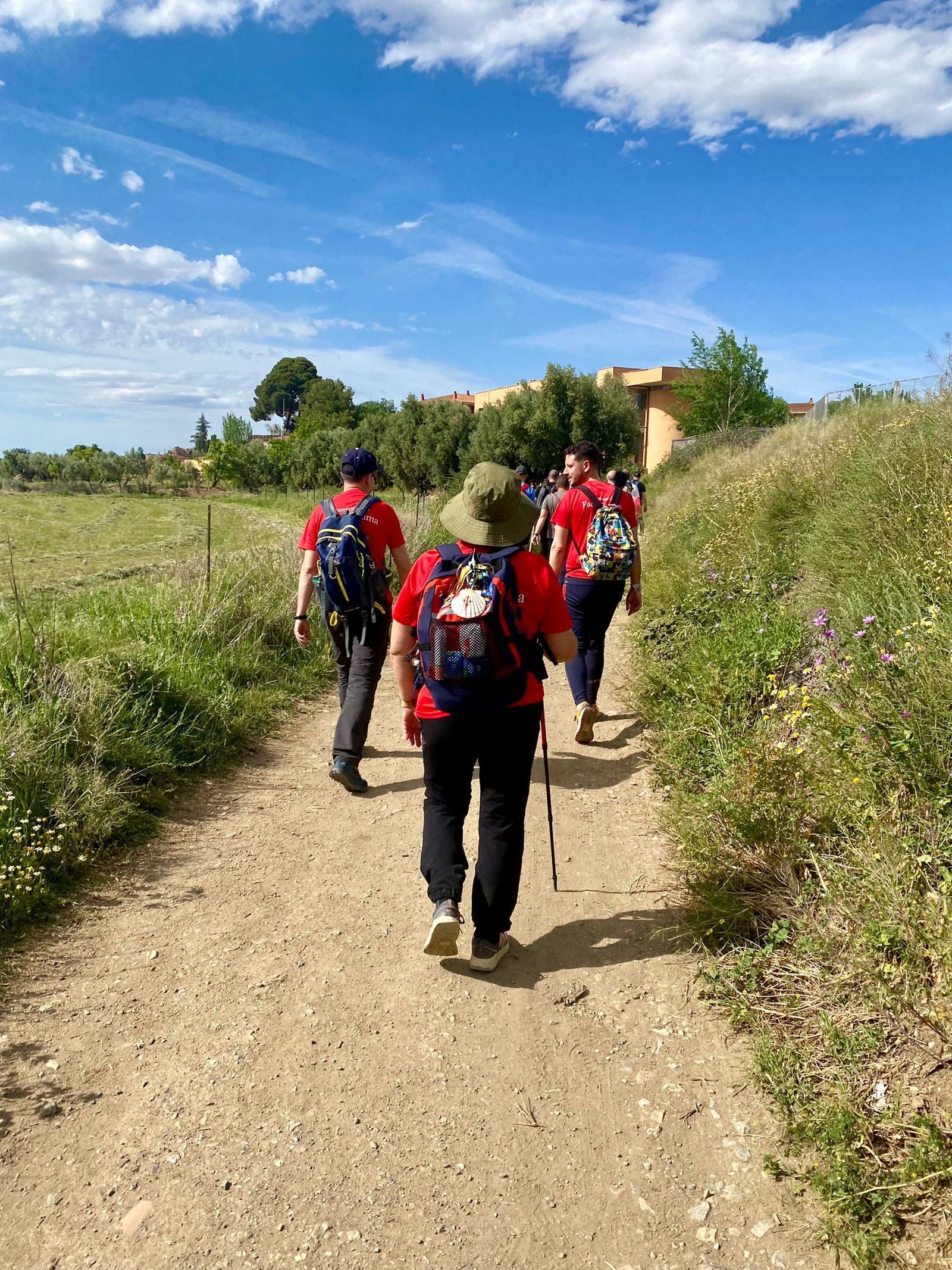 Así fue la Romería de San Torcuato de Guadix, las imágenes