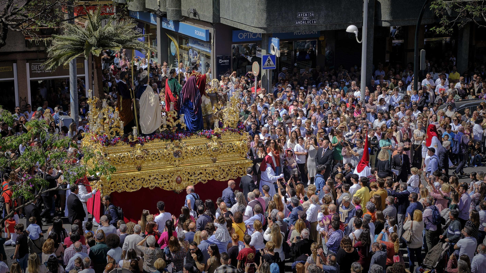 La Borriquita de Cádiz