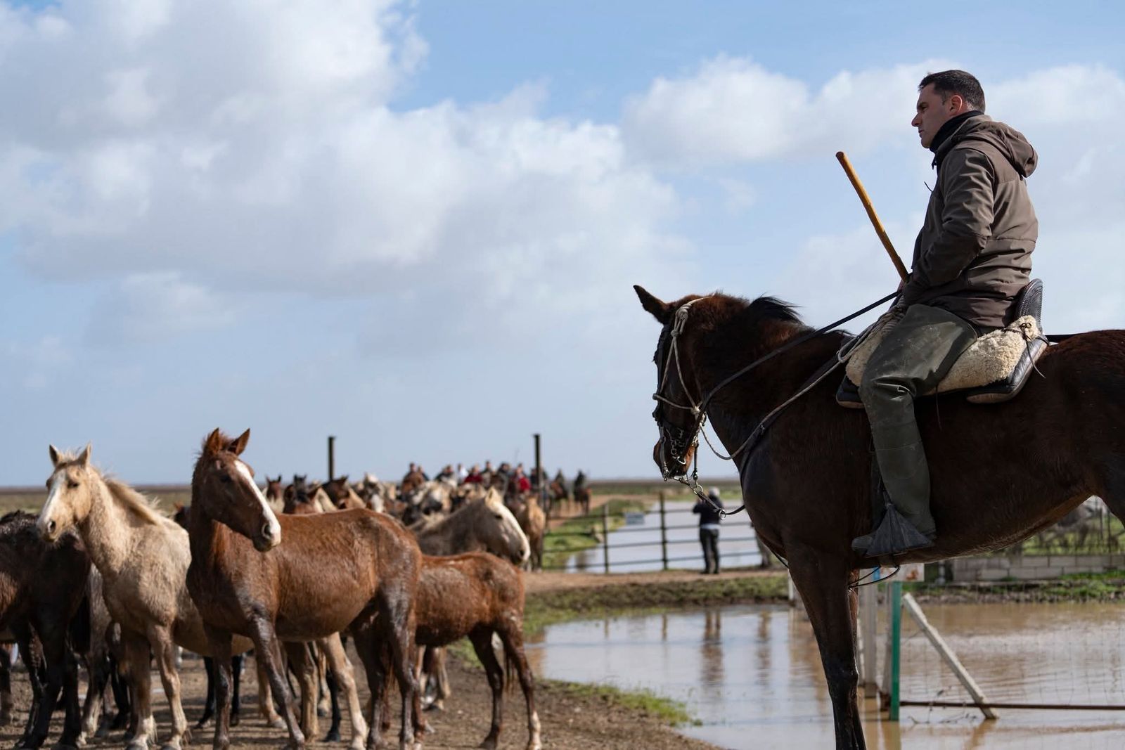 Ganaderos en Doñana.