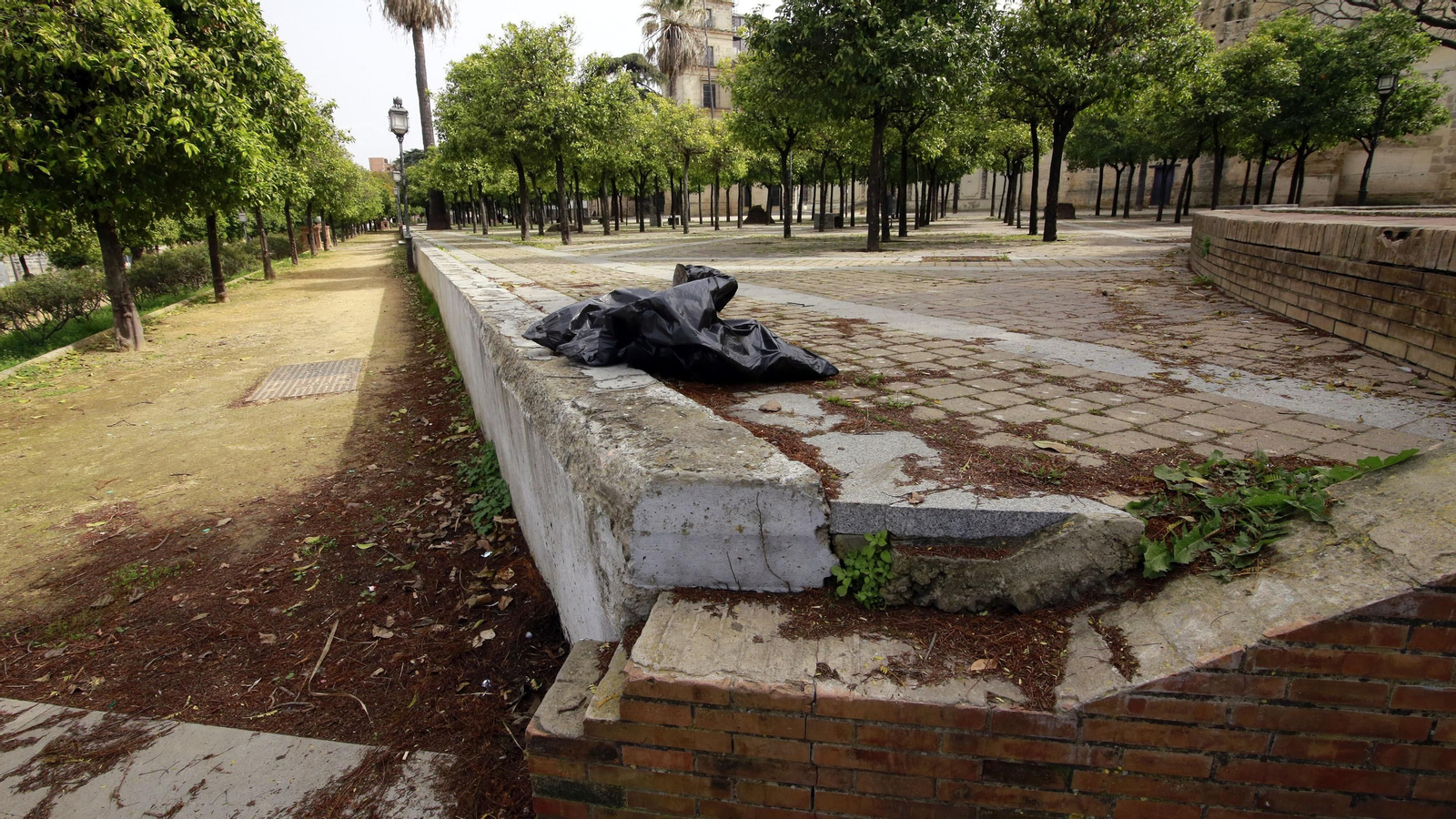 Abandono en la Alameda Vieja