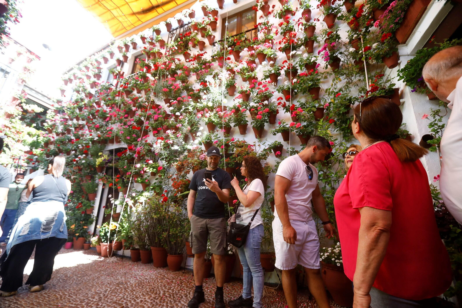 Las mejores imágenes del último día de Patios en Córdoba