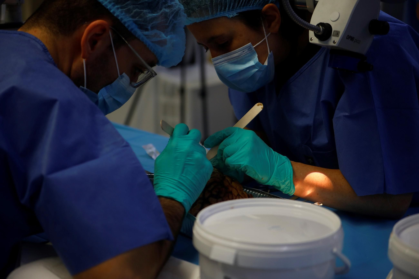 El curso en el que neurocirujanos del Hospital Reina Sofía estudian el cerebro, en imágenes