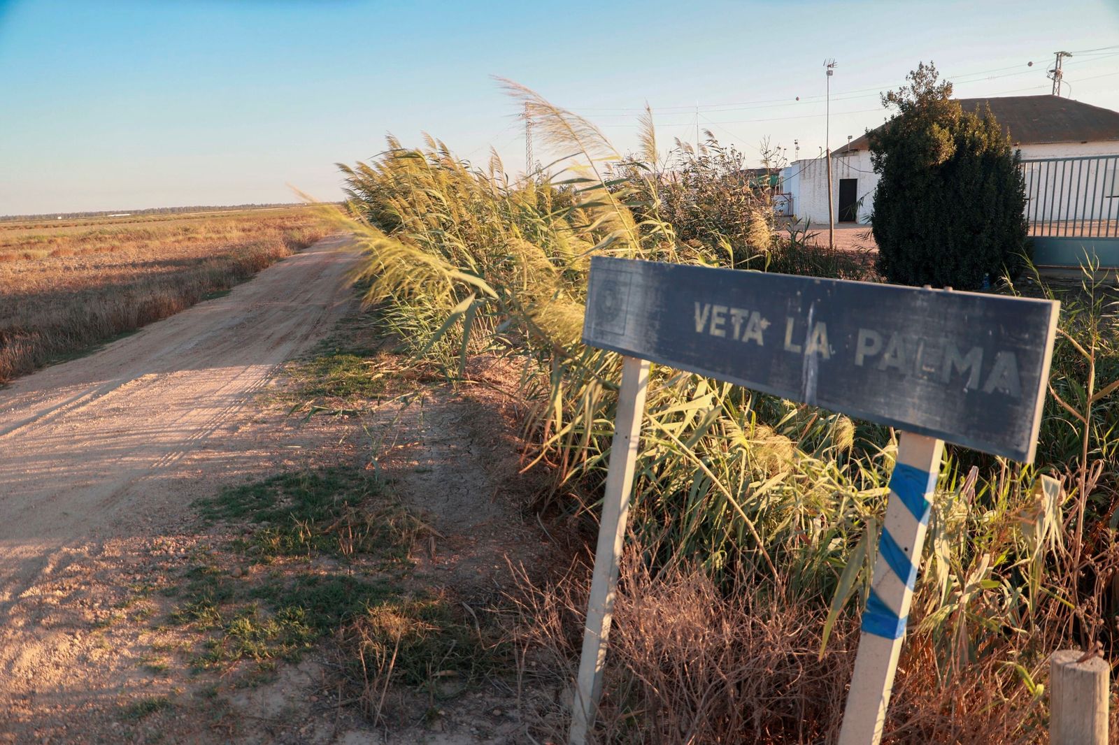 Uno de los accesos a Veta la Palma, la finca comprada por la Junta.