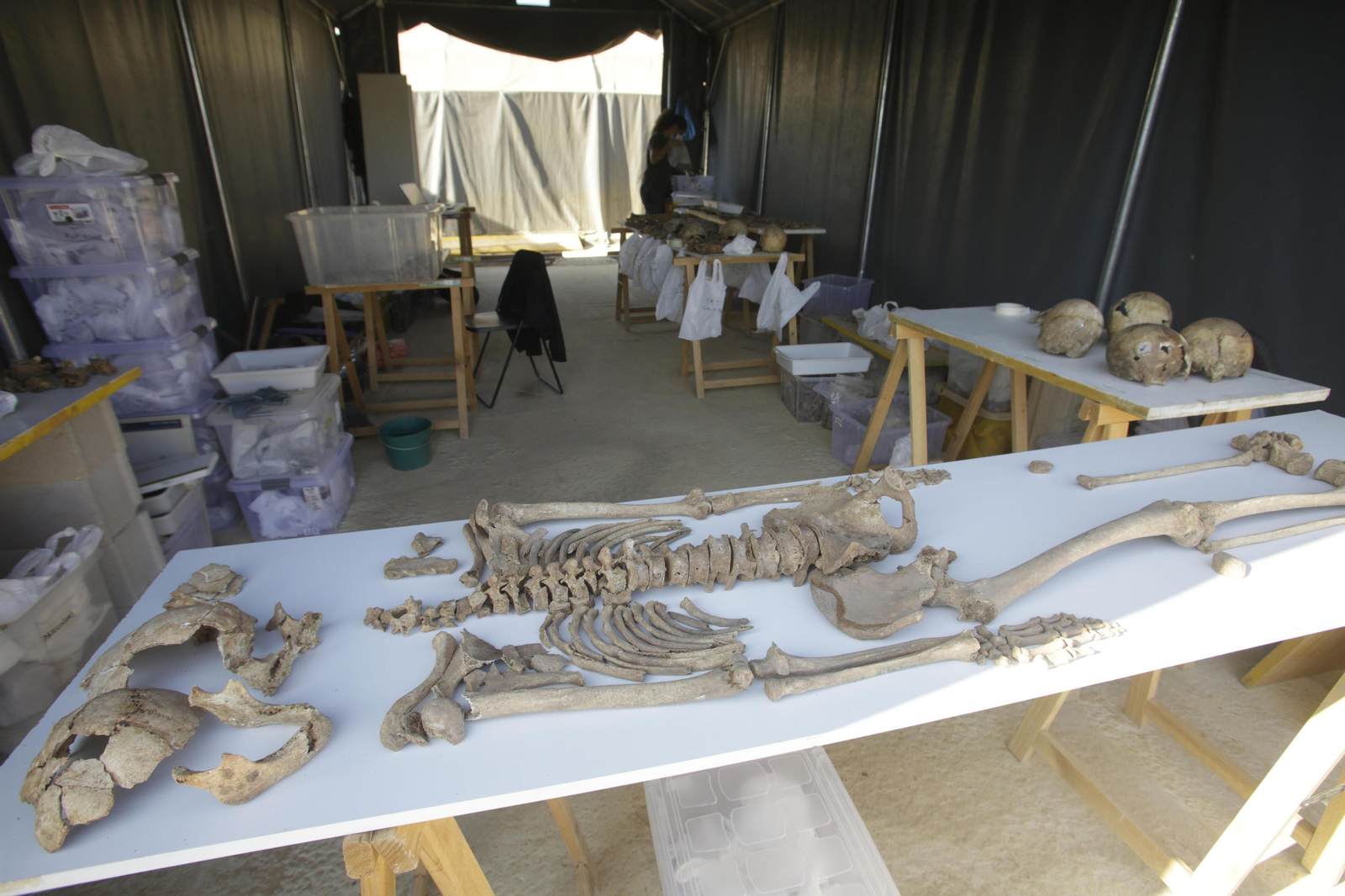 Avance de los trabajos en la fosa común de Pico Reja