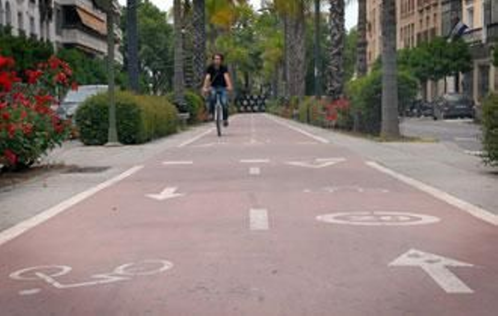 El carril bici cumple un año parado