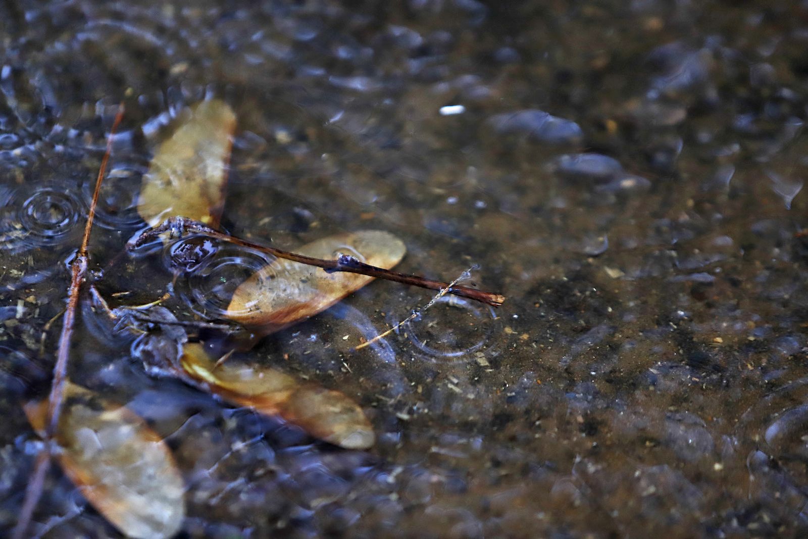 imágenes de la lluviosa mañana en Huelva