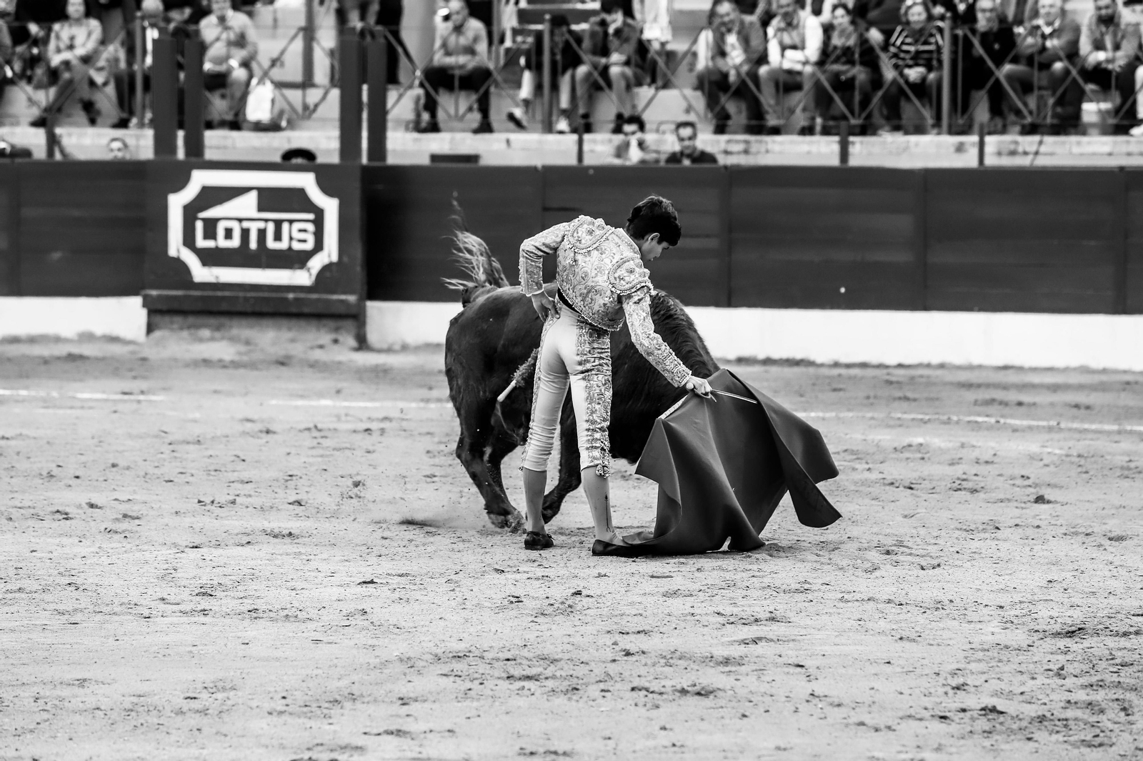 Imágenes de la novillada previa a la Semana Santa en la plaza de toros de La Línea