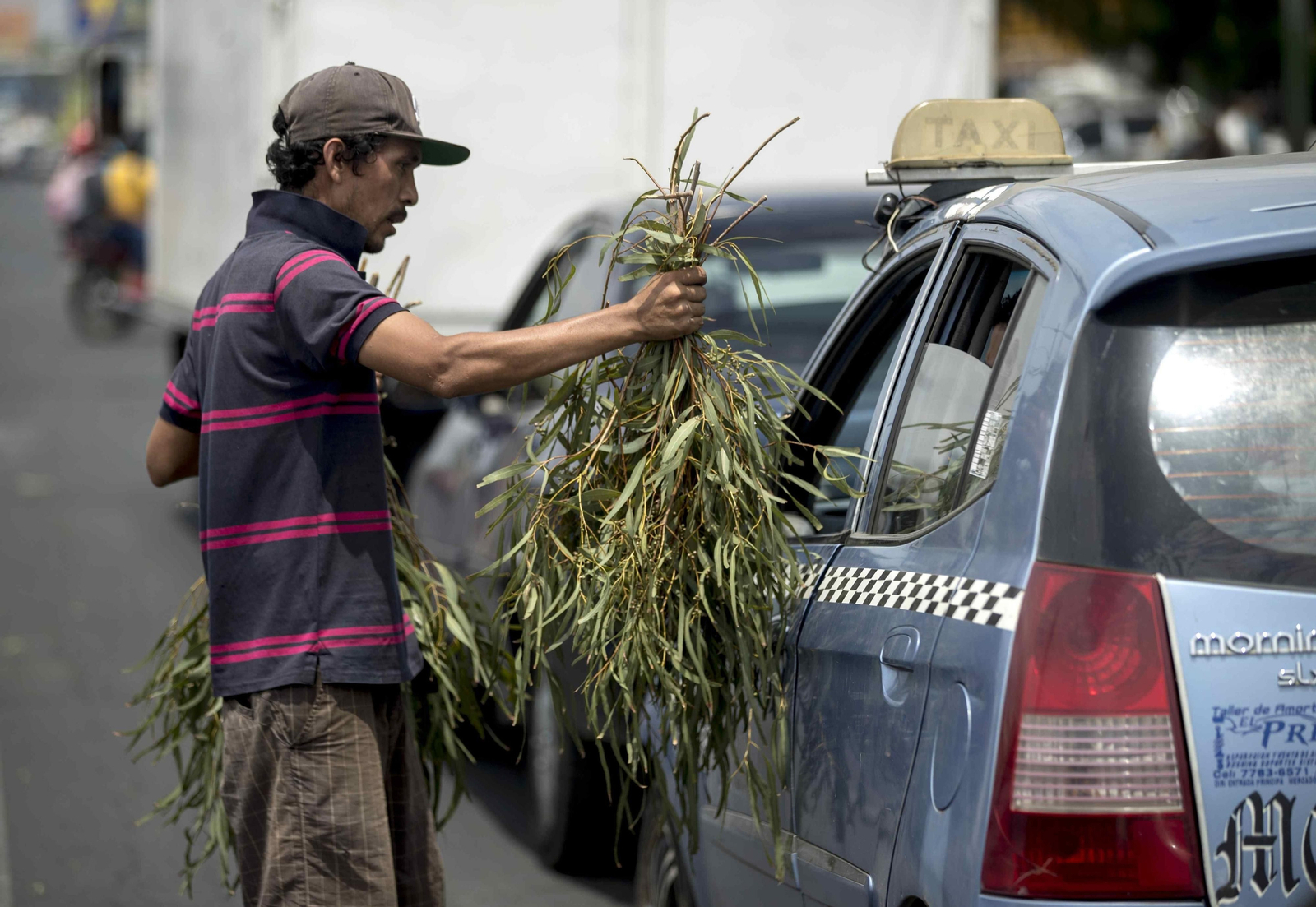 Un vendedor de eucalipto en un semáforo de Managua, Nicaragua