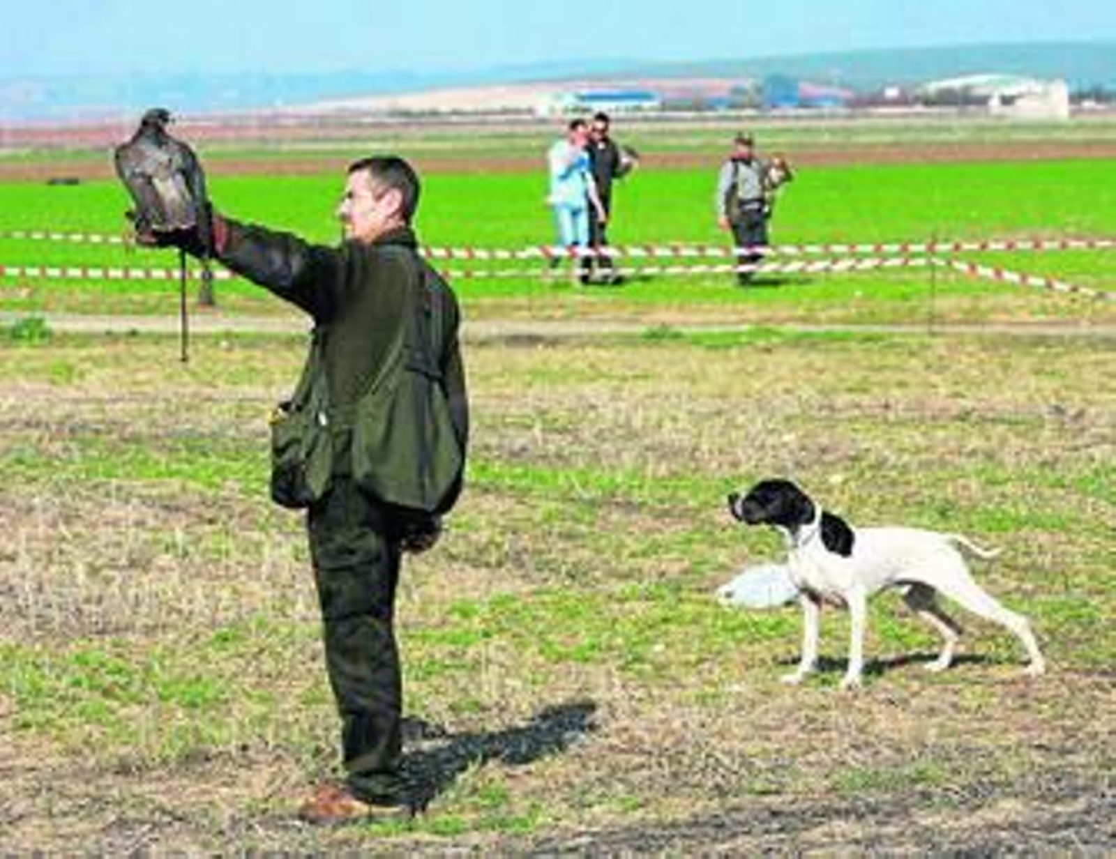 Caza con águila y perro.
