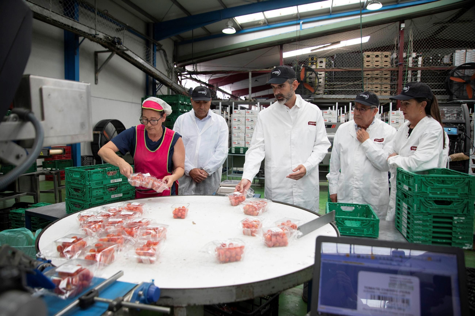 Vea cómo es el trabajo con las fantásticas sandías Premium en Grupo Caparrós