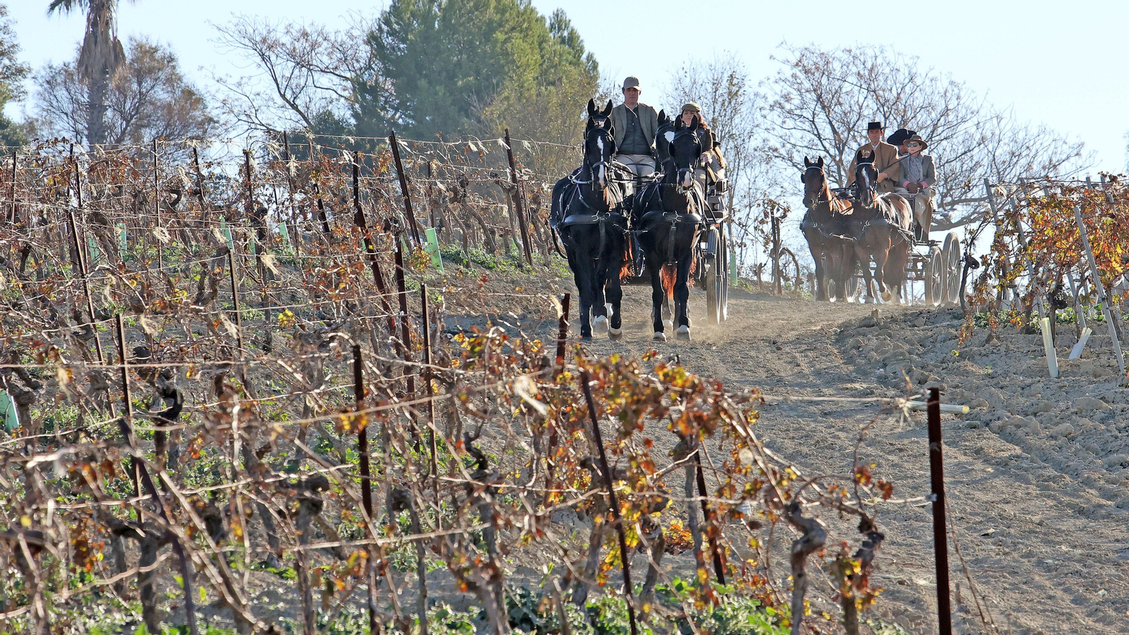 II Ruta Viñas de Jerez