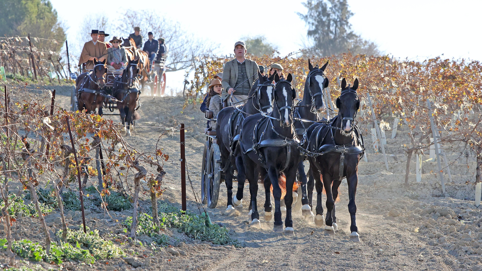 II Ruta Viñas de Jerez