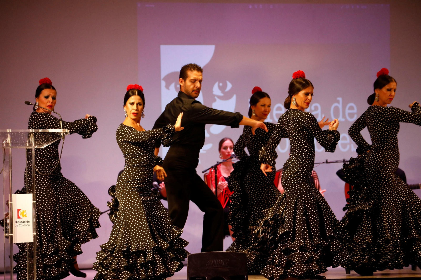 El Encuentro de Escuelas de Baile de Córdoba, en imágenes