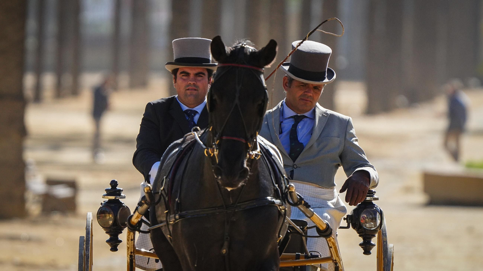 Tradición y elegancia en el Concurso Internacional de Enganches